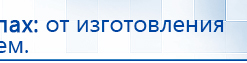 СКЭНАР-1-НТ (исполнение 01 VO) Скэнар Мастер купить в Березники, Аппараты Скэнар купить в Березники, Официальный сайт Дэнас kupit-denas.ru