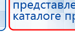 СКЭНАР-1-НТ (исполнение 01 VO) Скэнар Мастер купить в Березники, Аппараты Скэнар купить в Березники, Официальный сайт Дэнас kupit-denas.ru